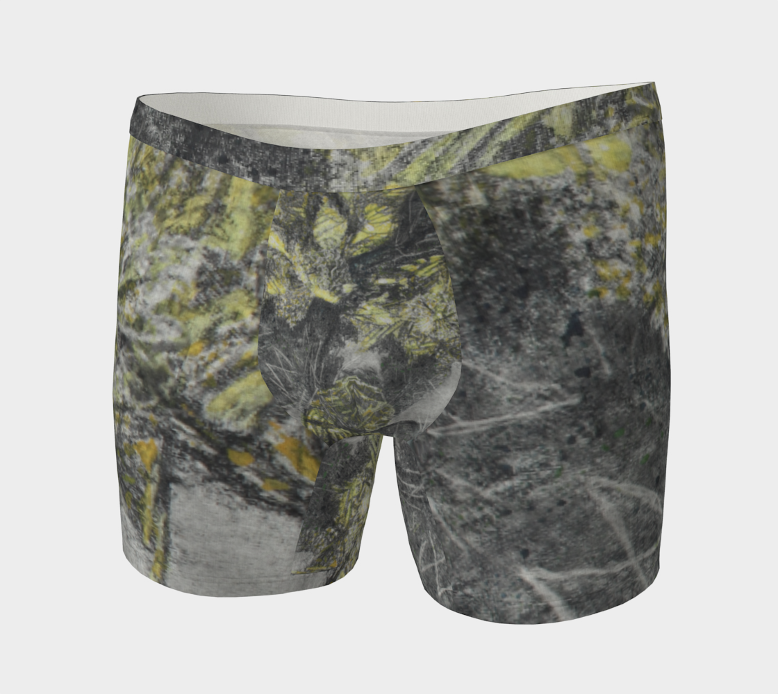 Boxer Briefs Cactus Energy