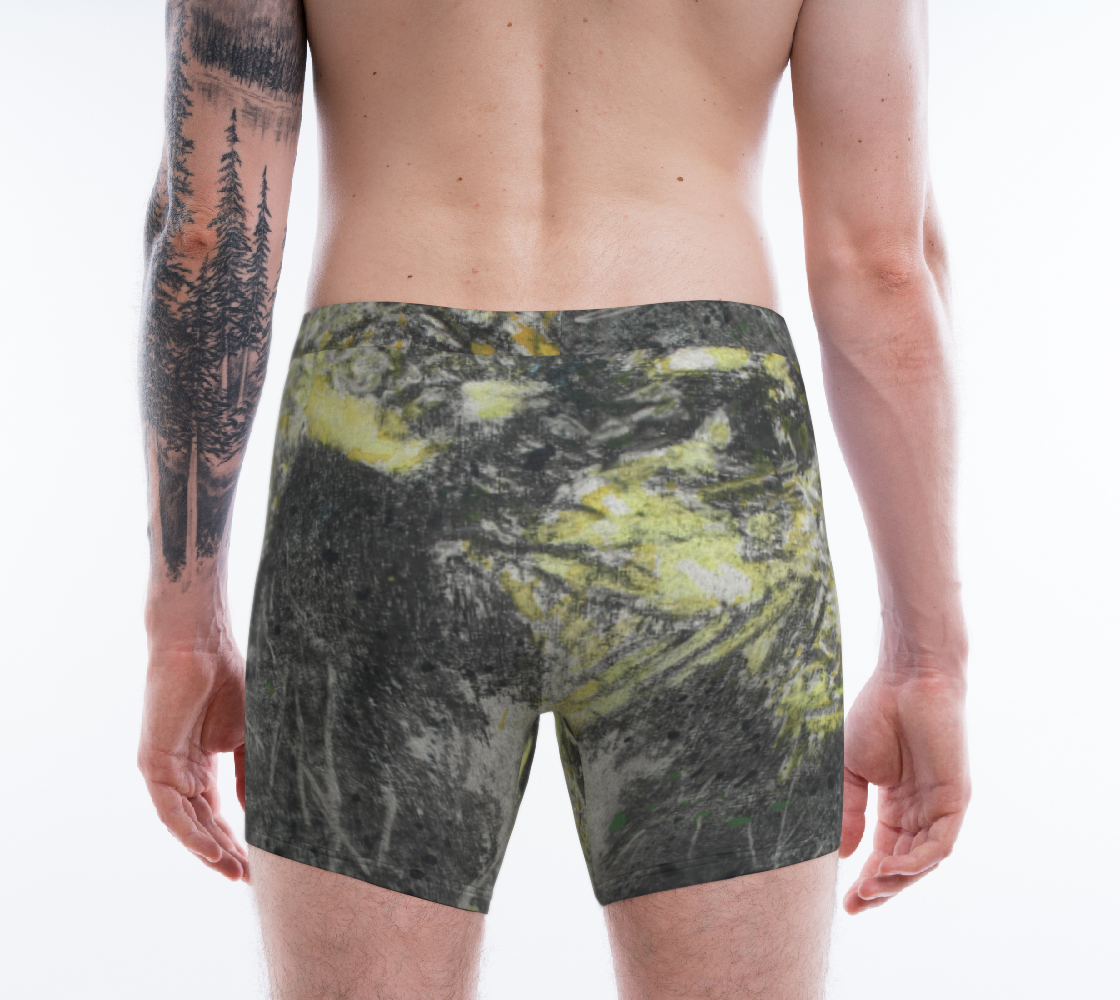 Boxer Briefs Cactus Energy