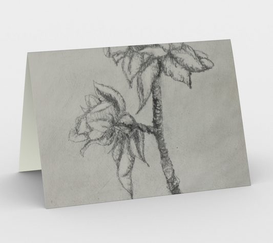 Stationery Card Apple Blossoms